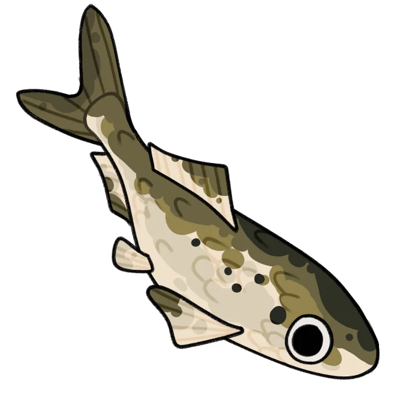 Illustration of menhaden fish